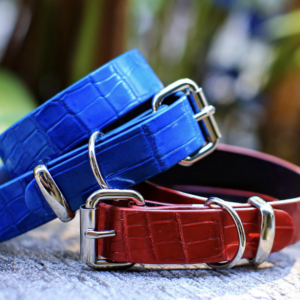 Premium Bellyskin Dog Collar